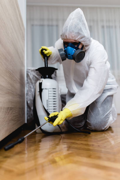 Real Estate Pest Inspections in Athens, TX